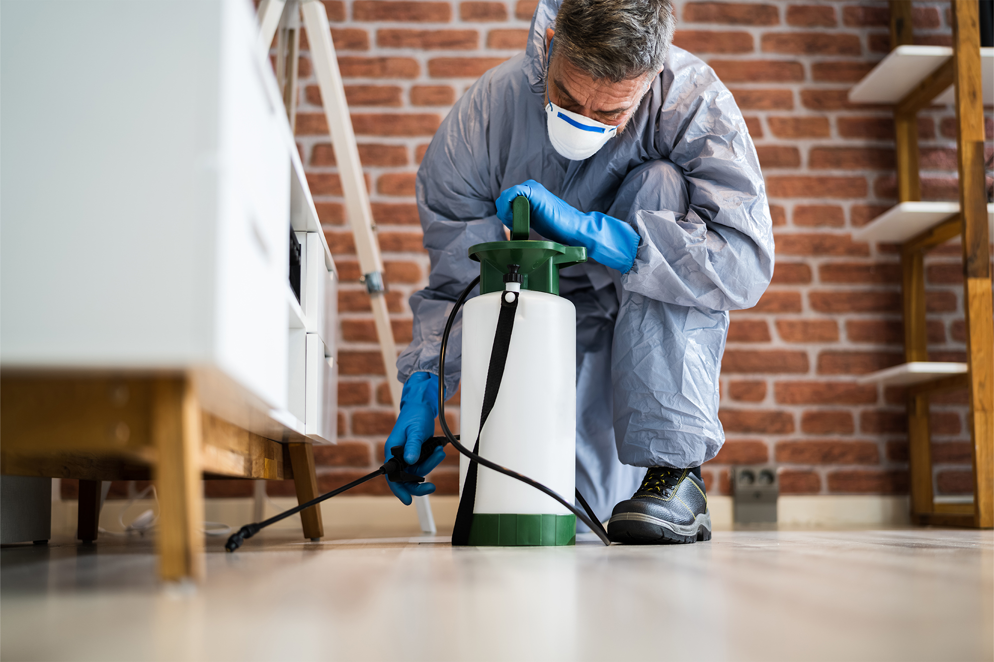 5 Top-Rated Pest Control Services in Kansas City